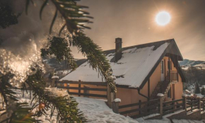 Forest Paradise - four bedroom villa, Kolašin